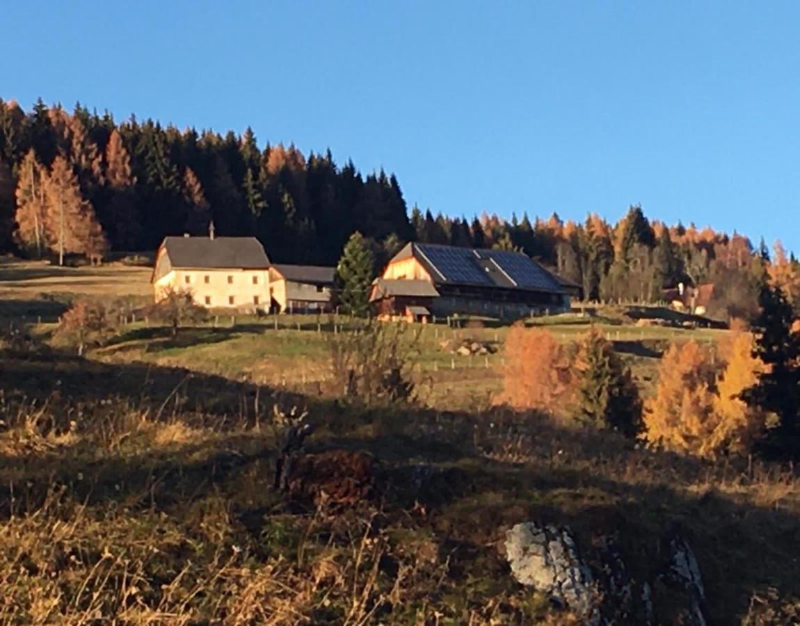 Oberwoelz StadtZum Wohle公寓式酒店 外观 照片